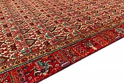Kelim Teppich Orientalisch 287 x 186 cm