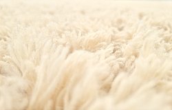 Wollteppich - Aliste Wool Shaggy (alabaster gleam)