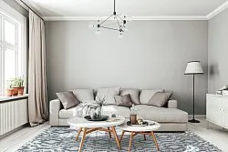 Shaggy Indoor-Outdoor - Trenton (weiß/blau)