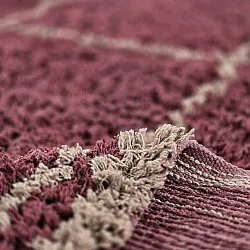 Hochflorteppiche - Lana Natural Cotton Shaggy (taupe/rot)