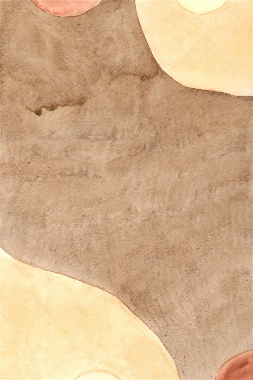 Wilton-Teppich - Nisa (braun/beige)