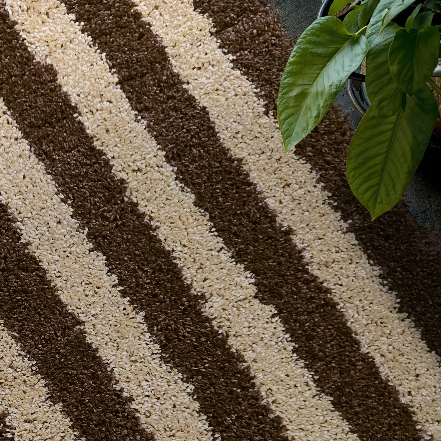 Hochflorteppiche - Imilchil (beige/braun)